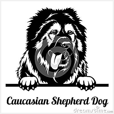 Caucasian Shepherd Dog - Peeking Dogs - breed face head isolated on white Vector Illustration