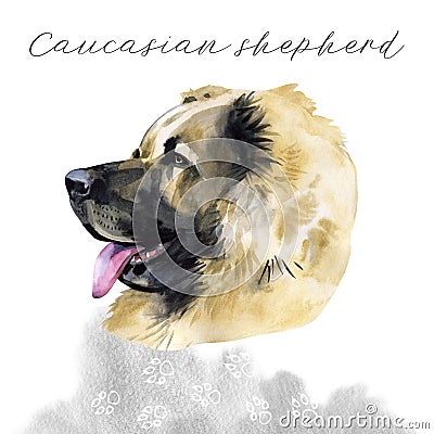 Caucasian shepherd. Portrait. Painting wet watercolor on paper. Naive art. Abstract art. Drawing watercolor on paper. Stock Photo