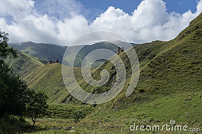 Caucasus mountains, canyon of Argun. Road to Shatili with ancient watchtower and cows, Gorgia Stock Photo