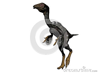 Caudipteryx dinosaur - 3d render Stock Photo