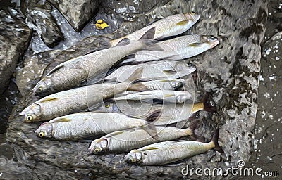 Caught fish on a stone with open mouths. Hunting, fishing, food. Stylization of the image using oil paint Stock Photo