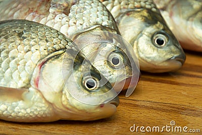 Caught fresh crucian carp on a cutting board close-up Stock Photo