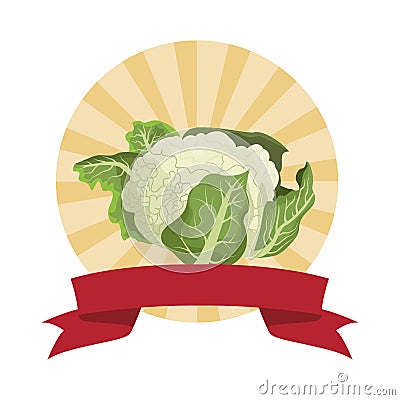 Cauliflower icon cartoon round icon Vector Illustration