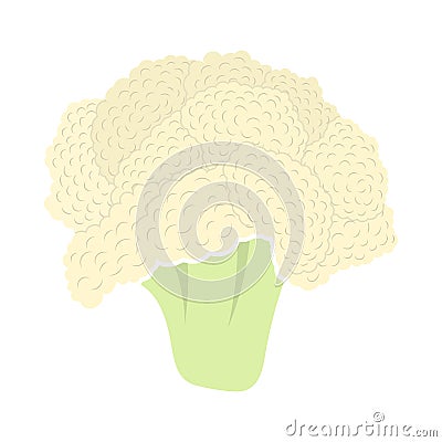 Cauliflower Icon Vector Illustration