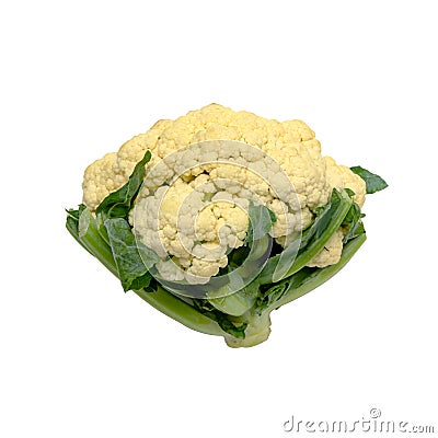 Cauliflower isolated Stock Photo