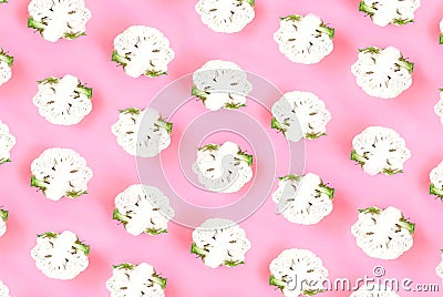 Cauliflower seamless pattern on pink pastel background. Stock Photo