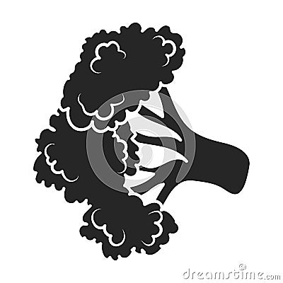 Cauliflower vector icon.Black vector icon isolated on white background cauliflower. Vector Illustration