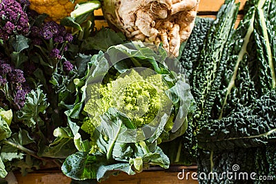 Cauliflowers and cabbages Stock Photo