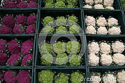 Cauliflowers - White - Green - Purple Stock Photo