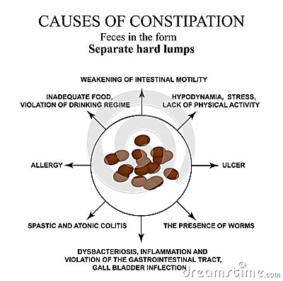 Causes of constipation. Sheep feces Infographics. Vector illustration on isolated background. Vector Illustration
