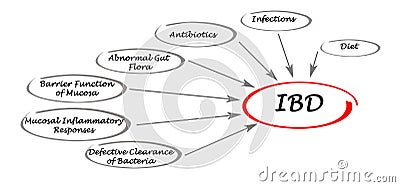 Causes of IBD Stock Photo