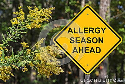 Caution - Allergy Season Ahead Stock Photo