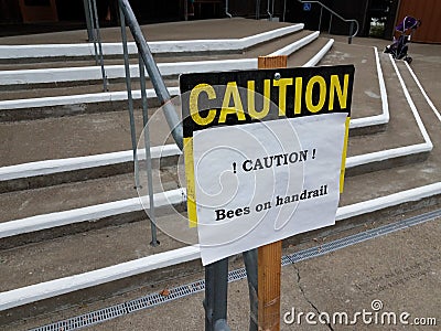 caution bees on handrail sign on steps Stock Photo