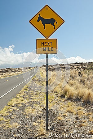 Caution sign, feral donkeys ahead Stock Photo