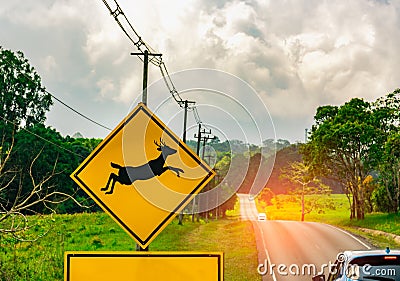 Caution ! wildlife crossing sign beside asphalt road near small hill and green grass field. Stock Photo