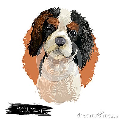 Cavalier King Charles Spaniel dog breed isolated on white background digital art illustration. Cute pet hand drawn Cartoon Illustration