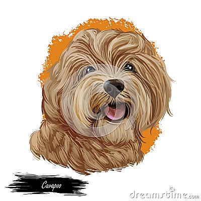 Cavapoo digital art illustration of cute canine animal of beige color. Cavoodle or crossbreed dog, offspring of Poodle and Cartoon Illustration
