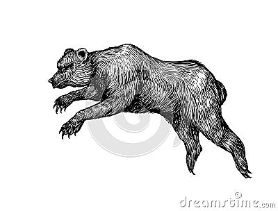 Cave bear. Extinct brown animal. Vintage retro vector illustration. Doodle style. Hand drawn engraved sketch Vector Illustration