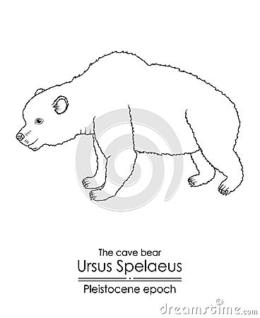 The cave bear Ursus Spelaeus Vector Illustration