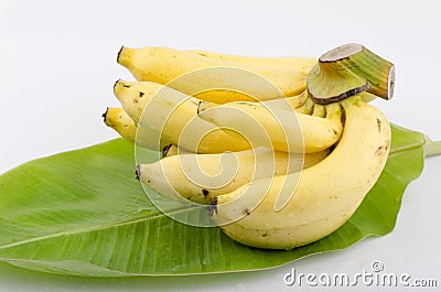 Cavendish Banana (Musa (AAA group) Kluai Hom thong thai name. Stock Photo