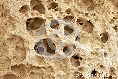 The cavernous globigerina limestone injured by the severe weathering, Malta Stock Photo
