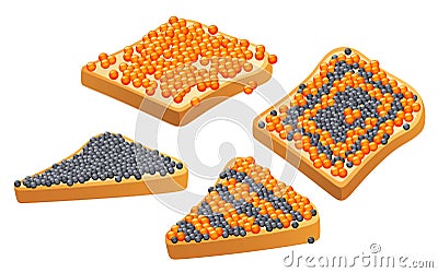 Caviar on bread Vector Illustration