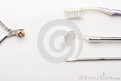 Cavity on extracted teeth Stock Photo