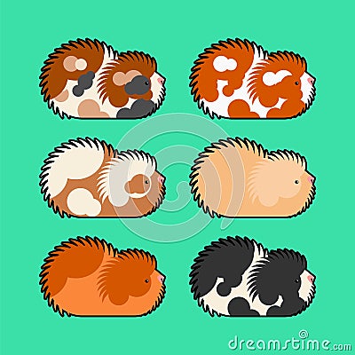 Cavy set. guinea pig cartoon. vector illustration Vector Illustration