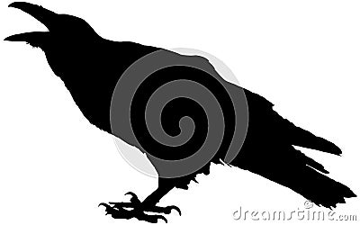 Cawing raven Vector Illustration