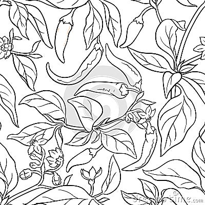 Cayenne pepper seamless pattern Vector Illustration