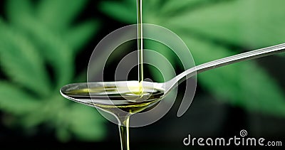 CBD: calo dell'olio di canapa CBD: calo dell'olio di canapa
