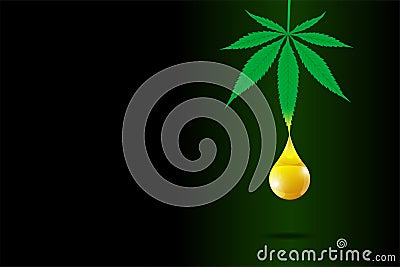 CBD hemp oil of medical cannabis poster concept. Marijuana leaf extract drop natural product placard design template Vector Illustration