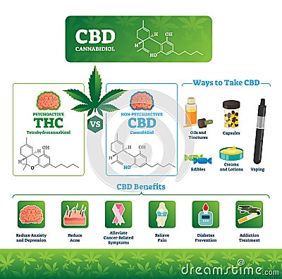 CBD vector illustration. Labeled medical THC cannabis benefits infographics Vector Illustration