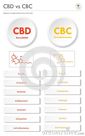 CBD vs CBC, Cannabidiol vs Cannabichromene vertical business infographic Vector Illustration
