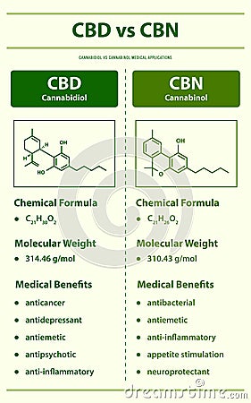 CBD vs CBN, Cannabidiol vs Cannabinol vertical infographic Vector Illustration