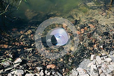 CD disk and floppy diskette are lying in the lake outdoors. Forgotten past concept in the water Stock Photo