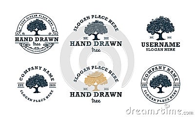 Hand drawn shady tree abstract sign, symbol or logo template Vector Illustration