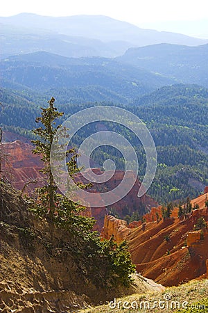 Cedar Breaks Stock Photo