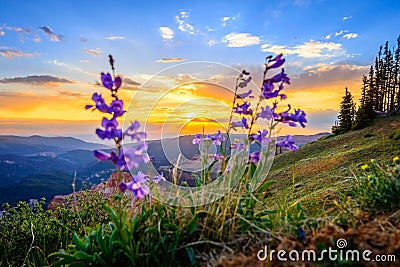 Cedar Breaks sunset Stock Photo