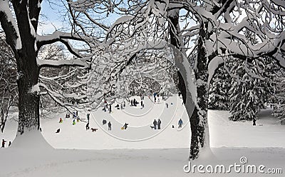 Cedar Hill after snow storm Stock Photo