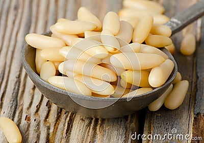 Cedar Pine nuts Stock Photo