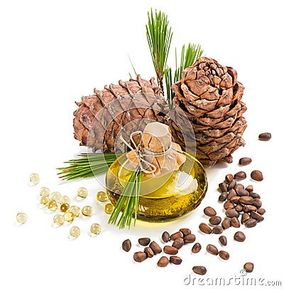 Cedar pine nuts and oil Stock Photo