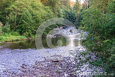 Cedar River In Summer 3 Stock Photo