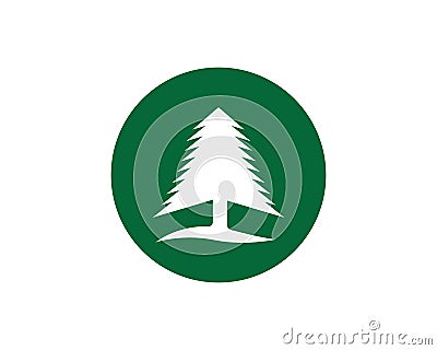 Cedar tree Logo template Vector Illustration