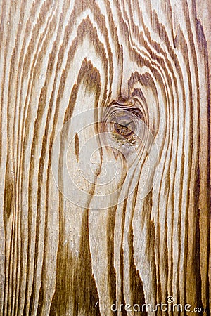 Wood grain print