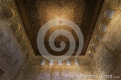 The Ceiling Decoration of Nasrid Palace Alhambra Spain Cartoon Illustration