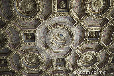 Ceiling in Palazzo Grassi Editorial Stock Photo