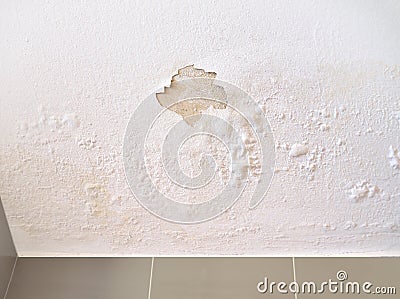 Leakage of roof water Stock Photo