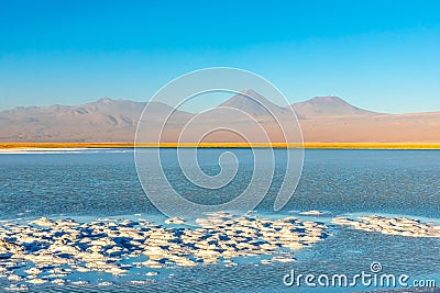 Cejar lagoon and Licancabur volcano in Atacama, Chile Stock Photo