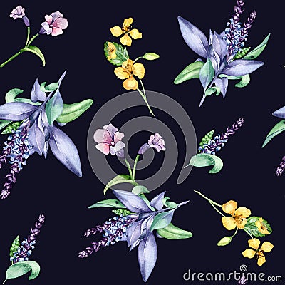 Celandine herbal plant watercolor seamless pattern isolated on black background. Salvia officinalis, lungwort Stock Photo